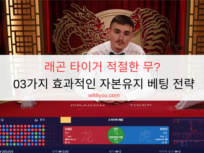 래곤 타이거 적절한 무? 03가지 효과적인 자본유지 베팅 전략