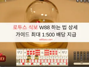 로투스 식보 W88 하는 법 상세 가이드 최대 1:500 배당 지급