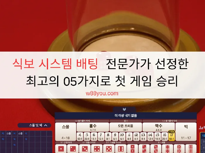 식보 시스템 배팅  전문가가 선정한 최고의 05가지로 첫 게임 승리