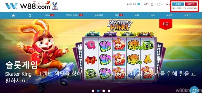 드래곤 타이거 1