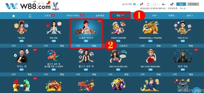드래곤 타이거 2