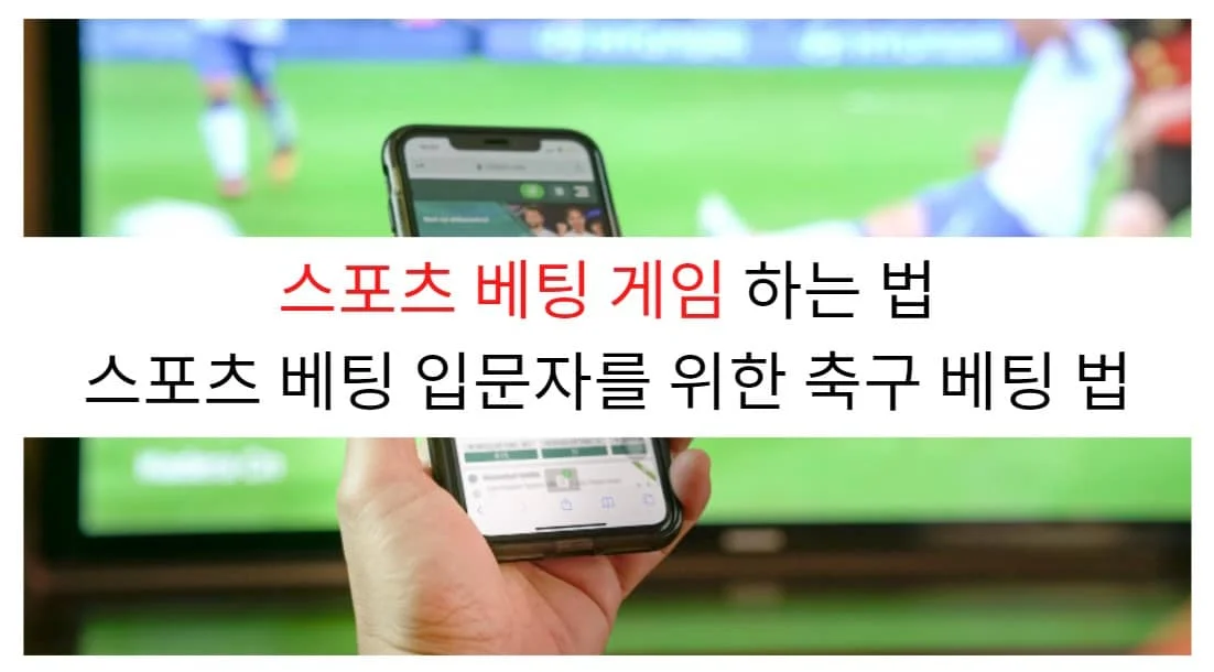 스포츠 베팅5